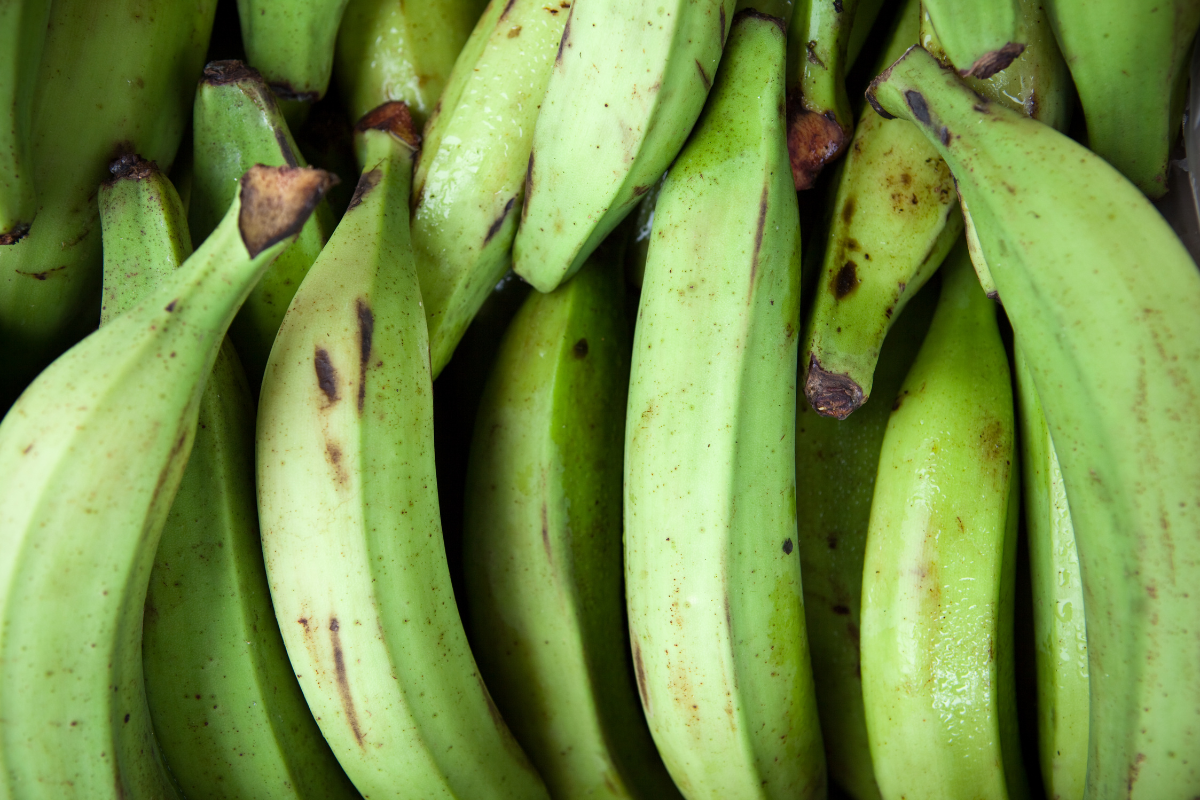 plantains for puerto rican food