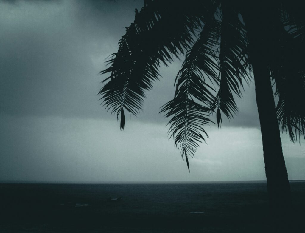 hurricane maria