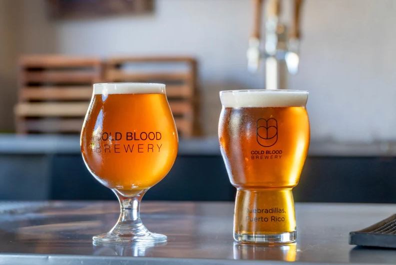 cold blood brewery