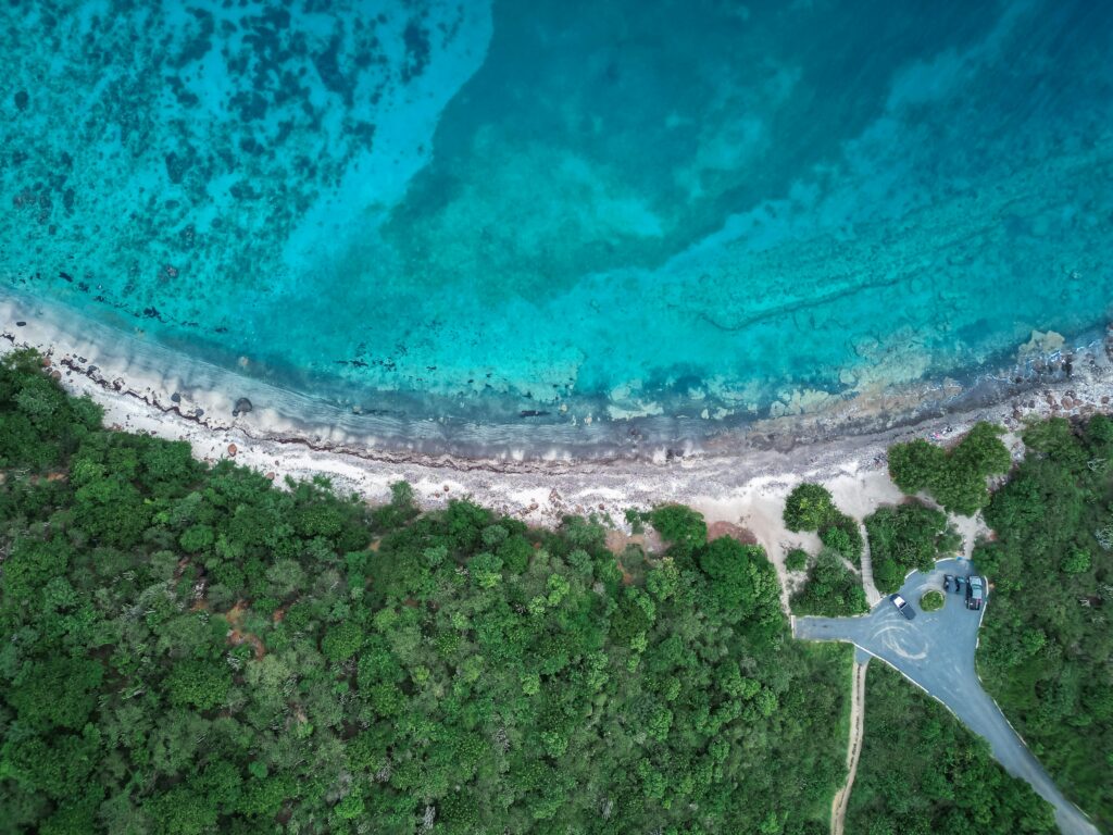 culebra puerto rico