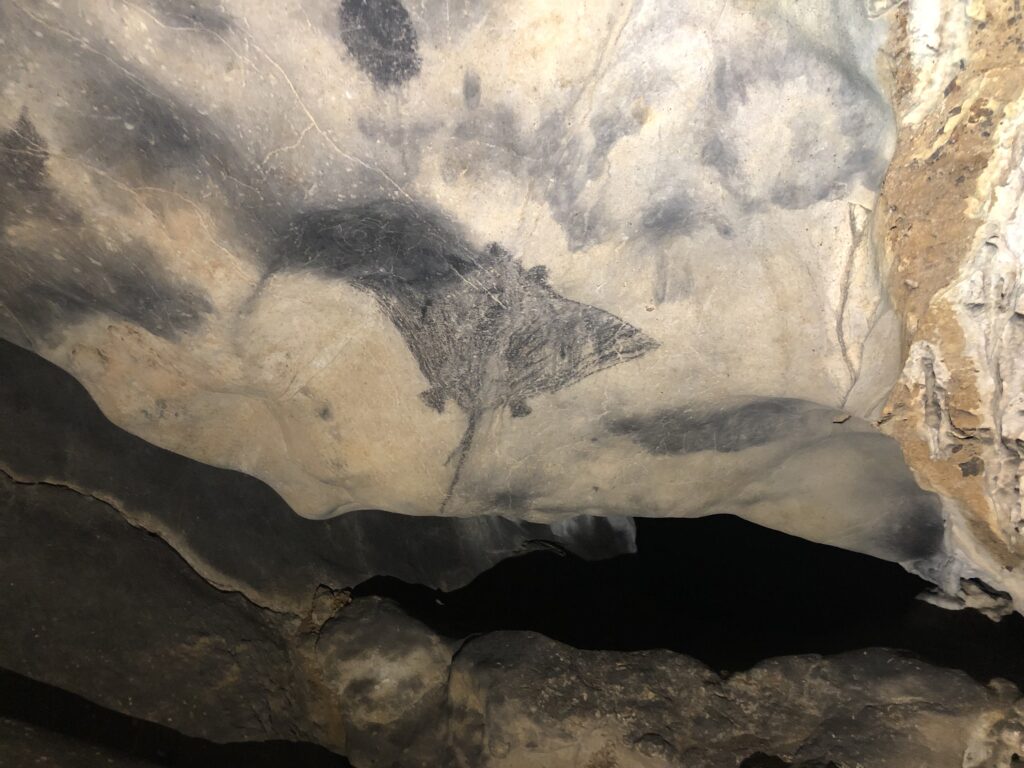 caves