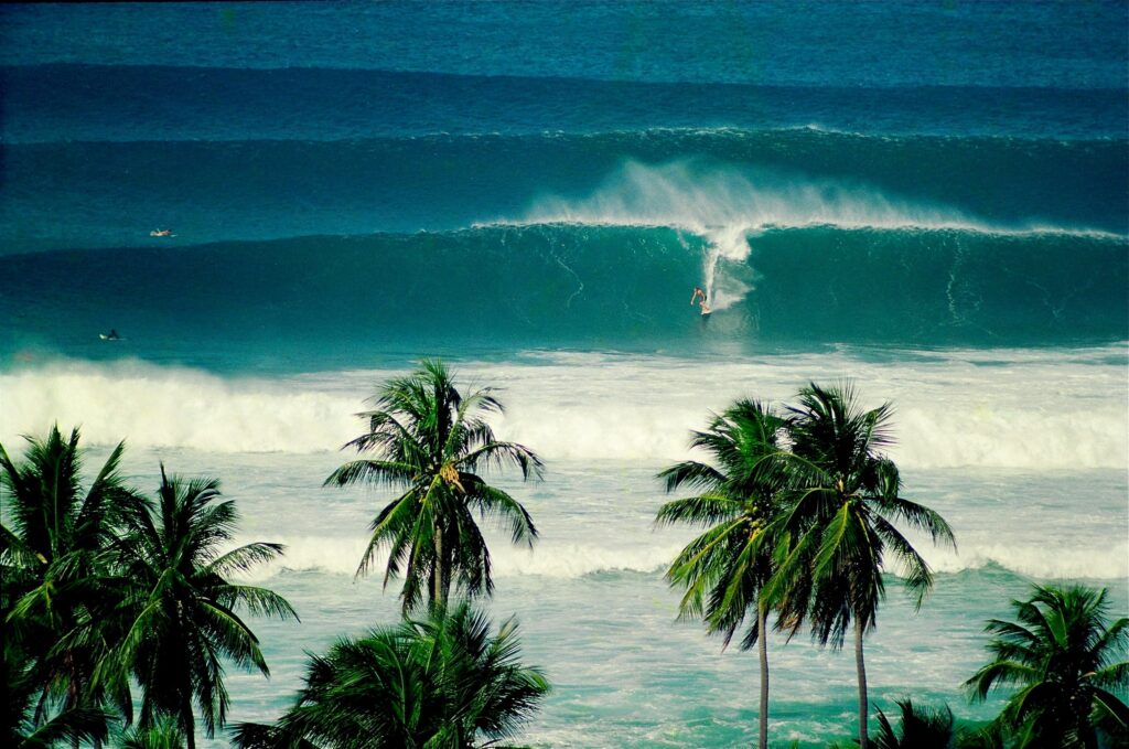 tres palmas surfing